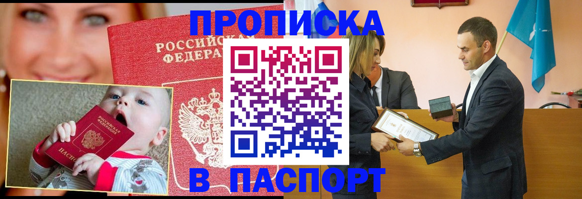 прописка поиск в Коле